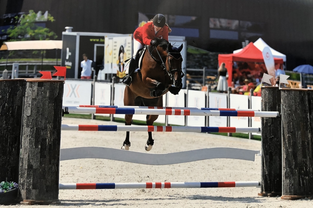Fohlen von Chembassy x Lancado