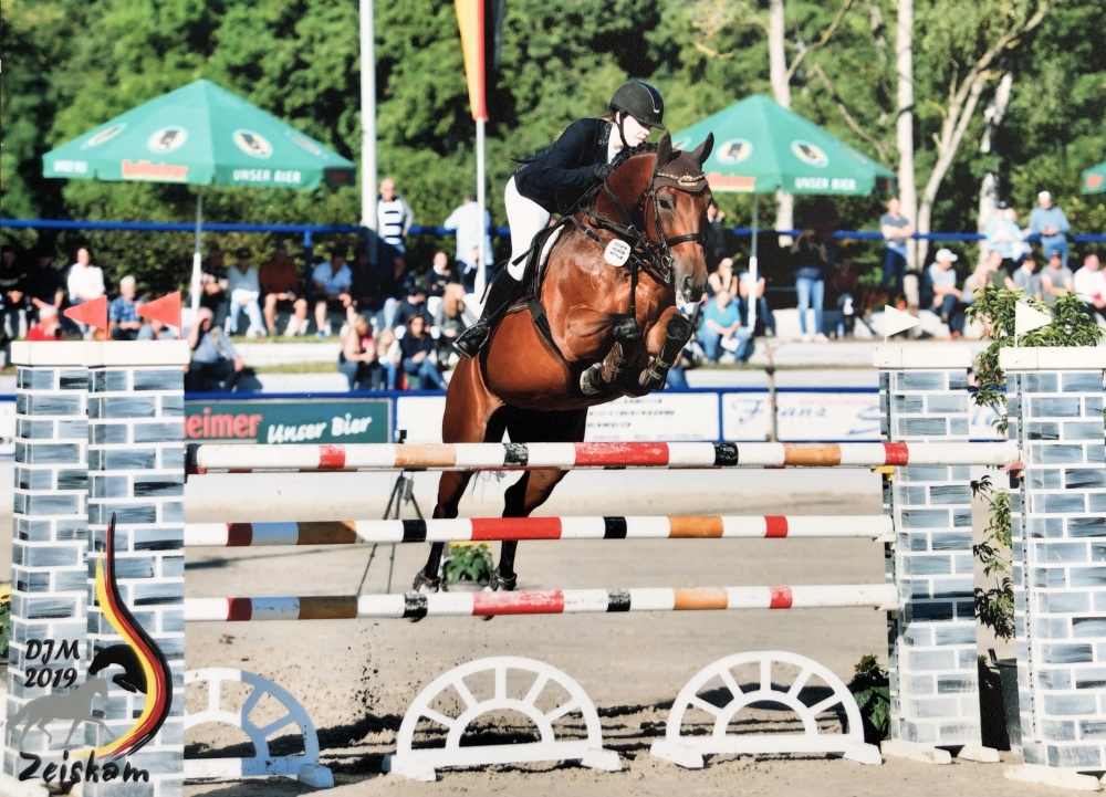 Fohlen von Chembassy x Lancado