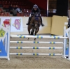 Volare F