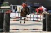 Fohlen von Chembassy x Lancado