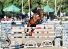 Fohlen von Chembassy x Lancado