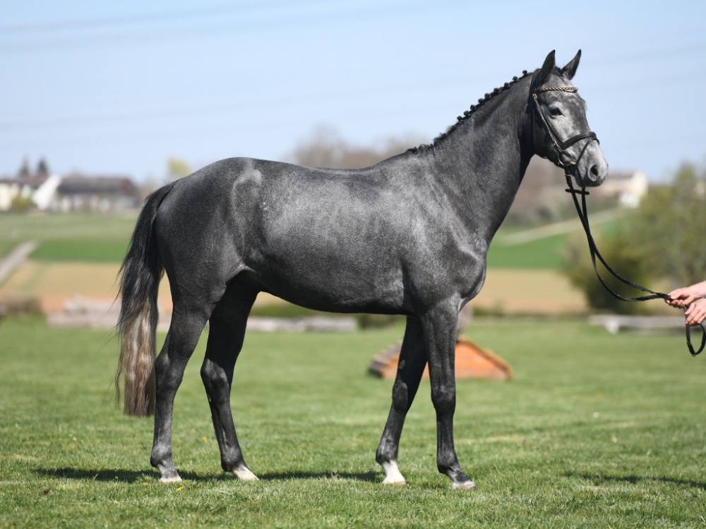 Romeo