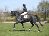 Romeo