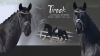 Tirock