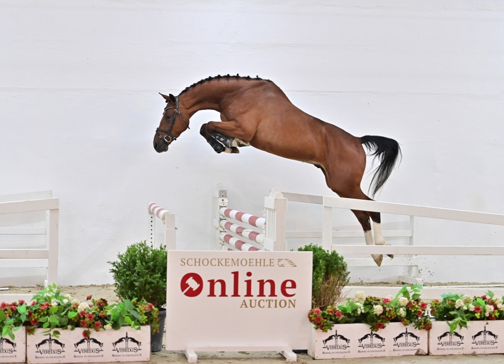 Dajano PS