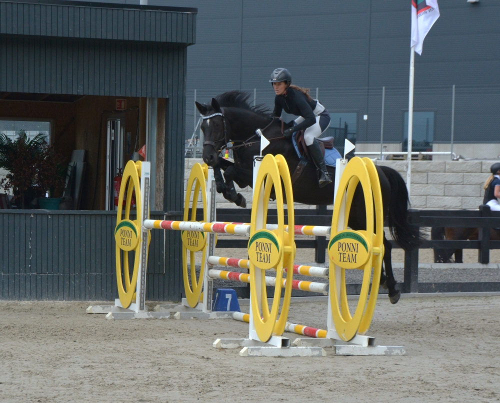 Vidtskue’s Nelly