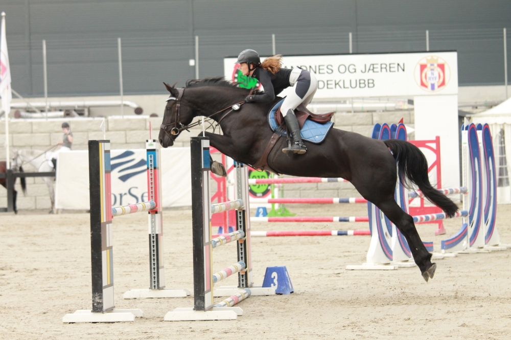 Vidtskue’s Nelly