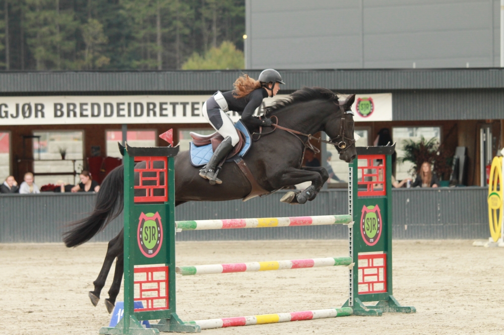 Vidtskue’s Nelly