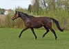 von Edward