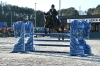 Vidtskue’s Nelly