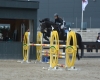 Vidtskue’s Nelly