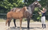 Lady Sunshine EK