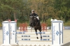 Vidtskue’s Nelly