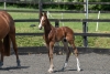 Uziah De Wellbury