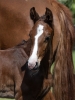 Uziah De Wellbury