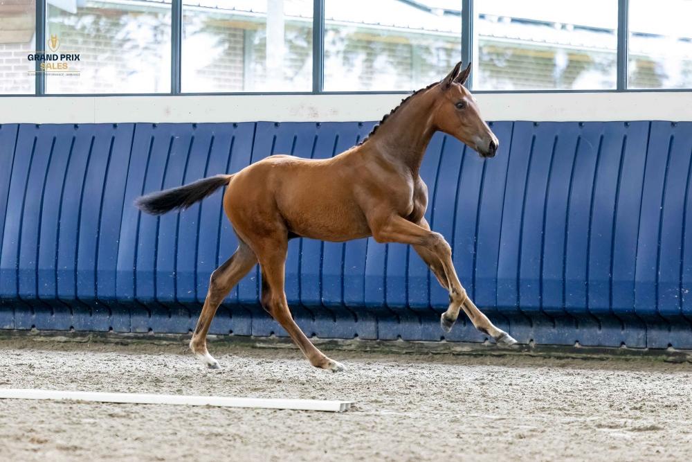 Vasari