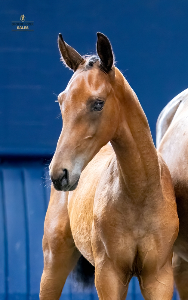 Vasari