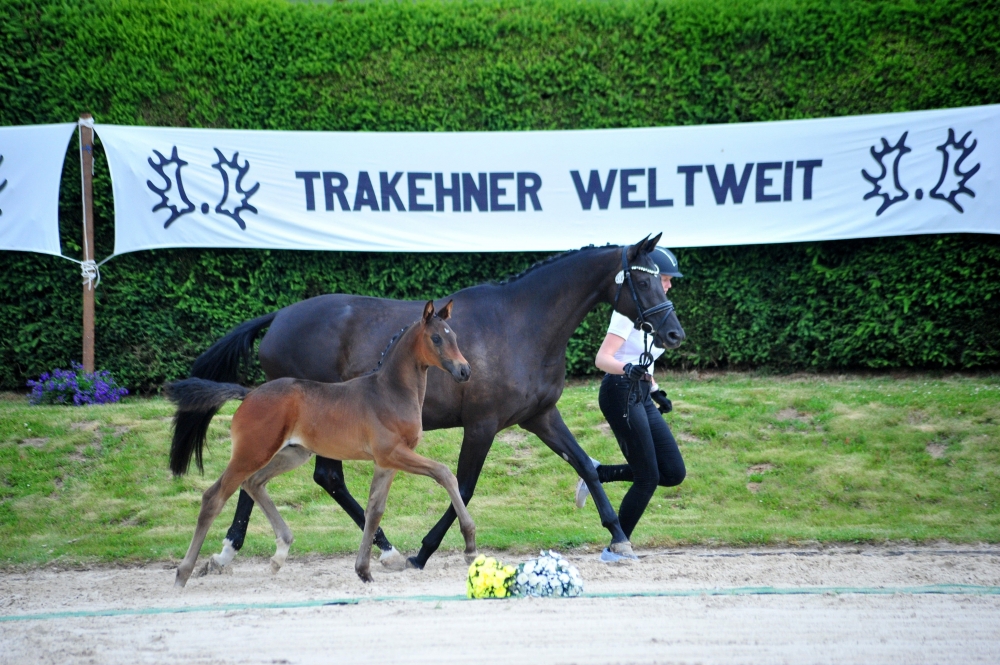Blickfang	