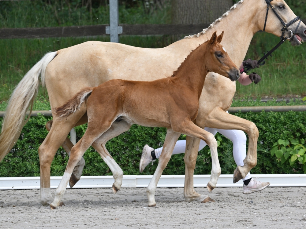 Seeräuber