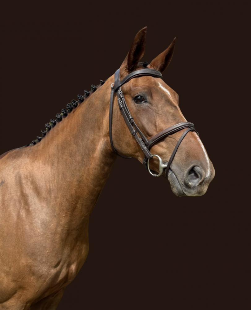 Bijoux AL