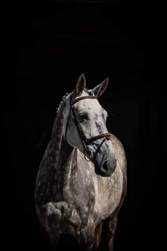 Baloubet Olympic	