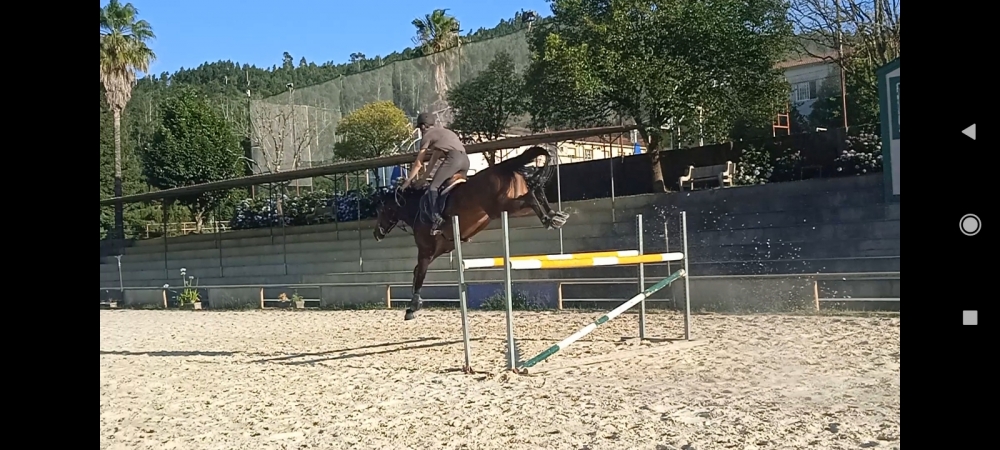 Alda de Siena FG