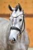 Talounet s Z	