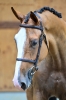Sandokan TS	