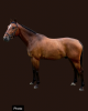 Upgrade van de Klothhoef