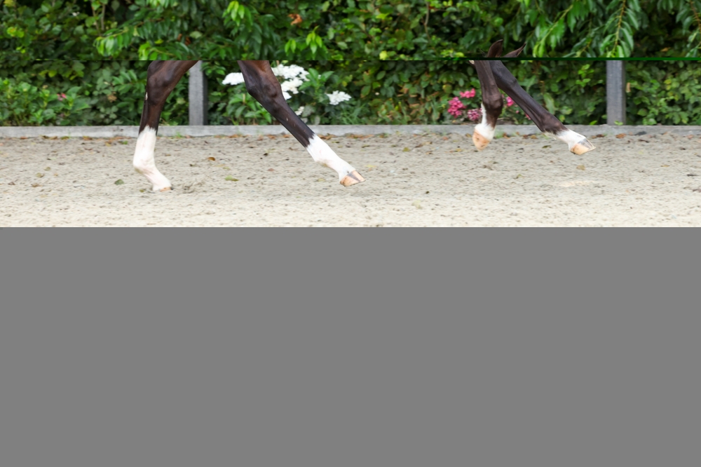 Viel-Spass BM	
