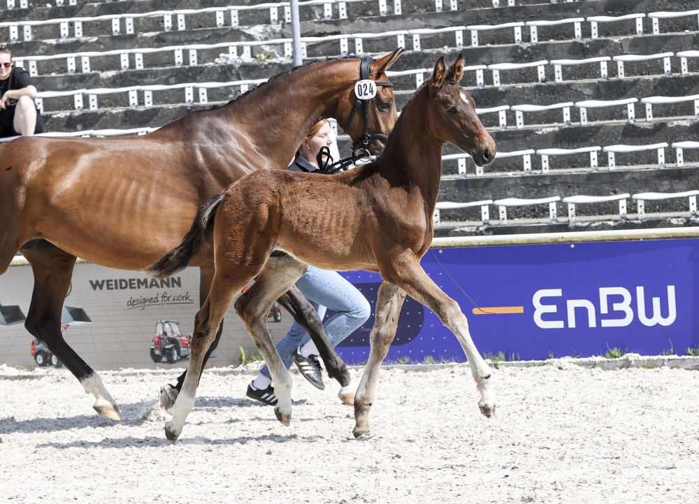 Giuliano