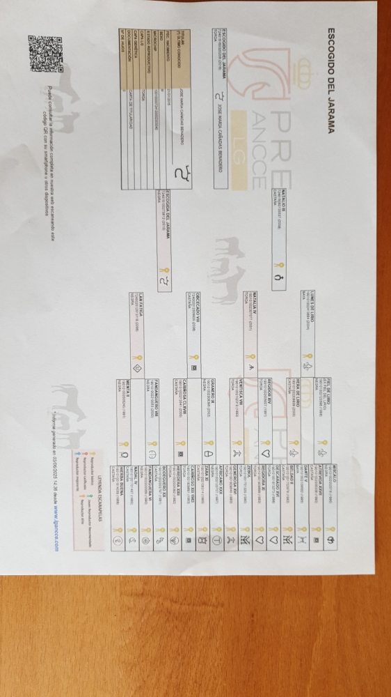 Escogido del Jarama