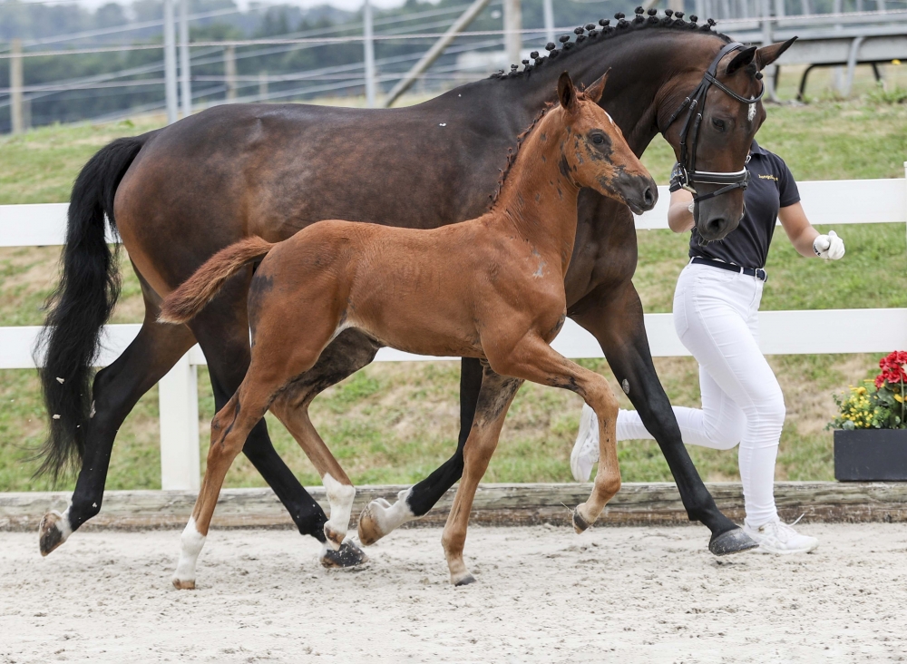 Valence