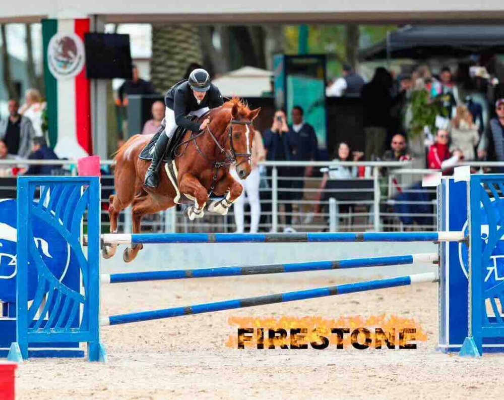 Firestone Semilly