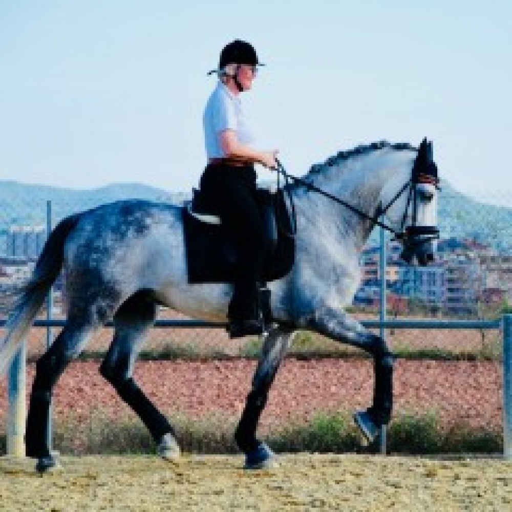 Escogido