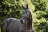 Sigrid