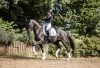 Sigrid