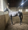 L-Amant