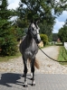 Erdon GR
