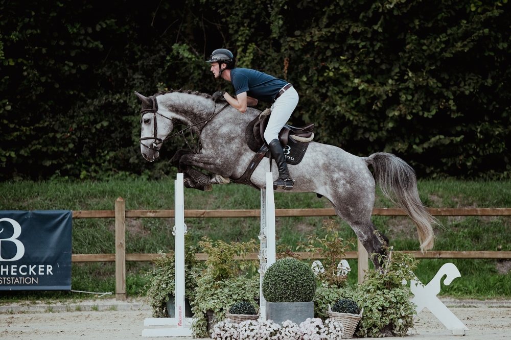 Hicksteads Hermes