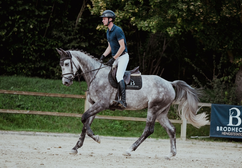 Hicksteads Hermes
