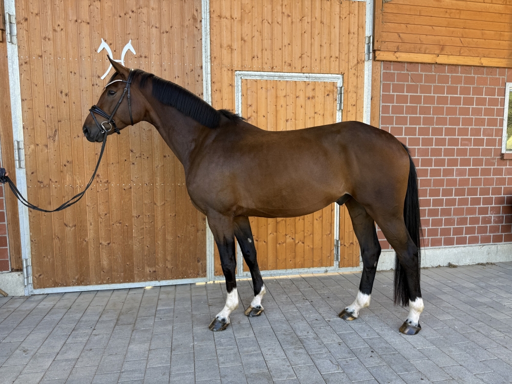 Floris