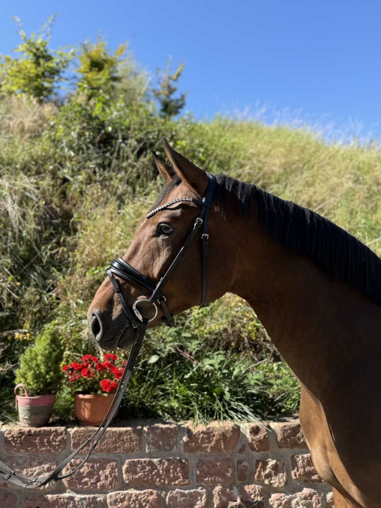 Floris