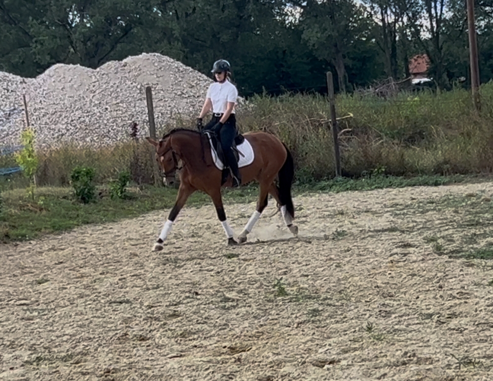 Con Elsa