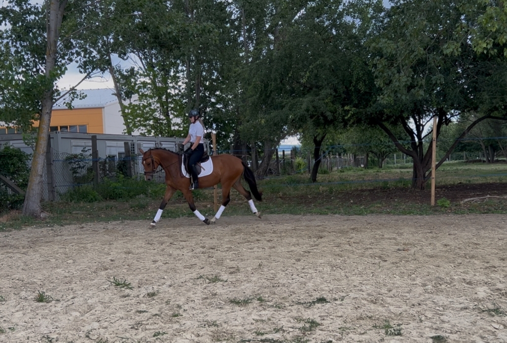 Con Elsa