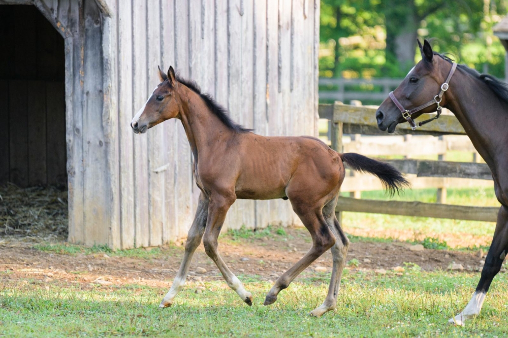 U Tallin’s Space In My Heart Z