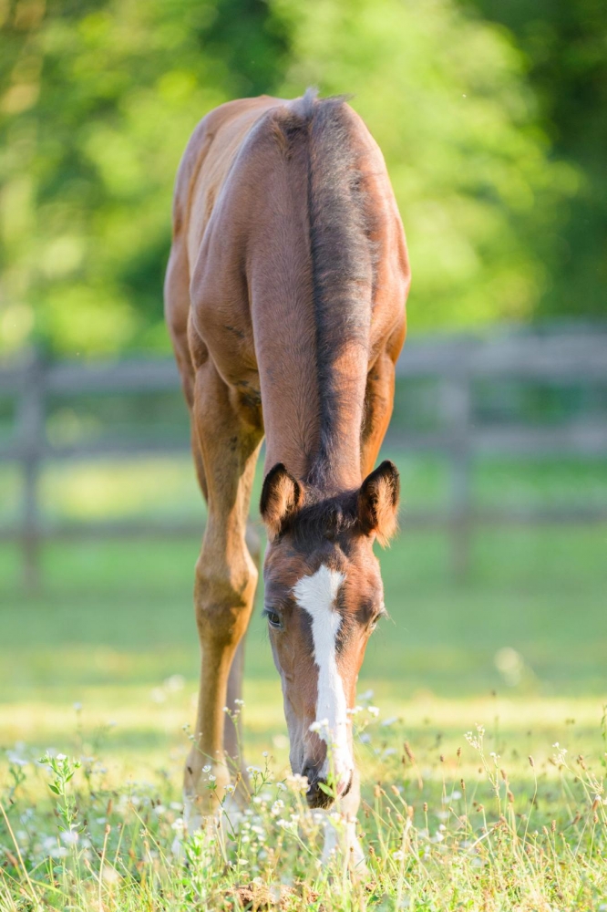 U Tallin’s Space In My Heart Z