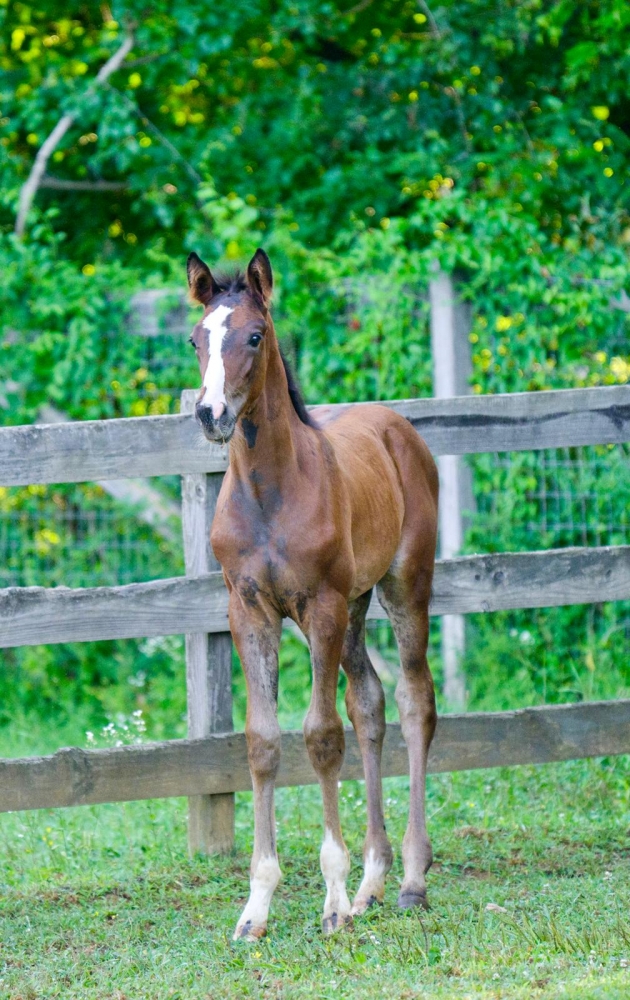 U Tallin’s Space In My Heart Z