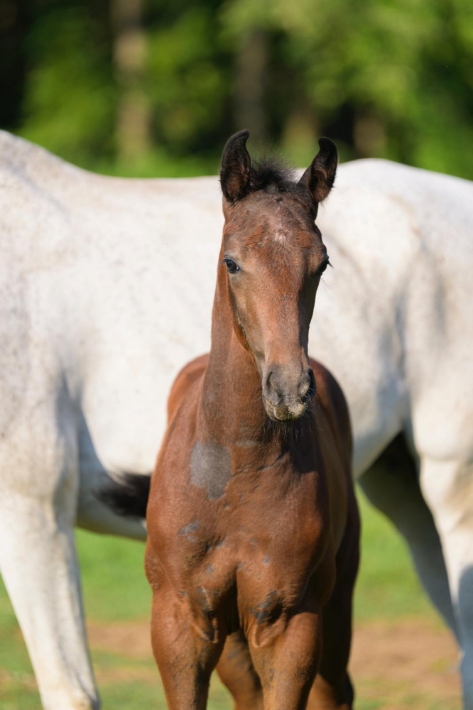 D Tallin’s Dancing In The Darc Z