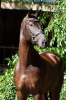Filou